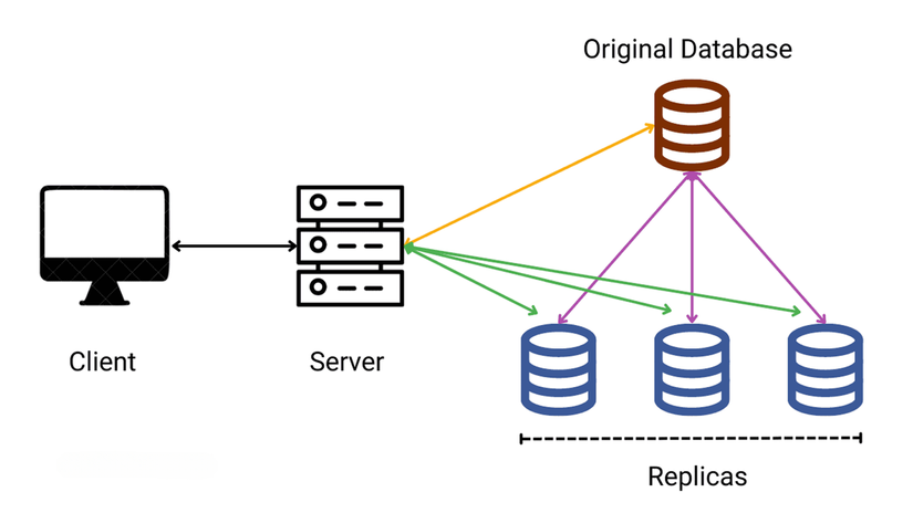 replication
