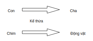 Tổng quan về NGINX