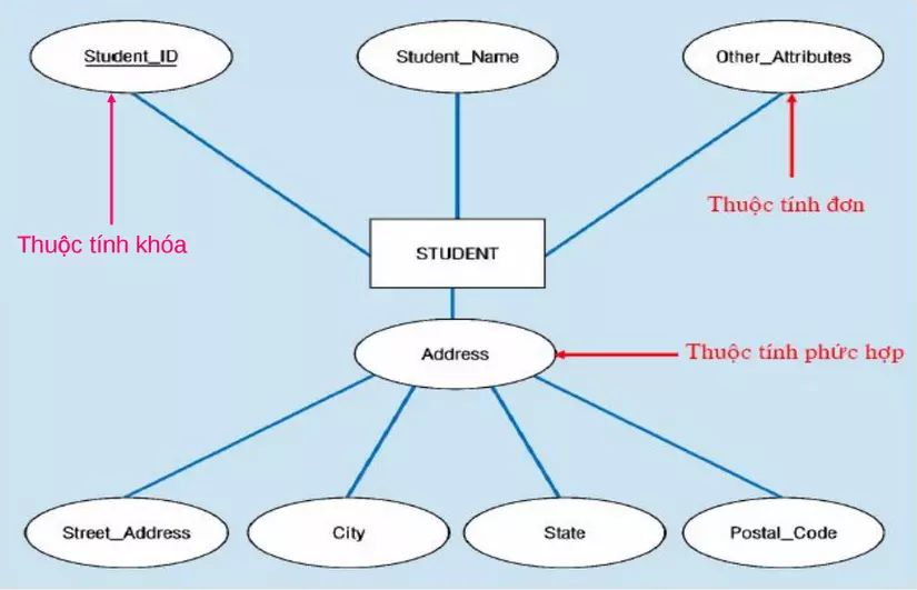 Lắp ráp mô hình dữ Liệu Cây cấu trúc Phân cấp cơ sở dữ liệu mẫu  cây png  tải về  Miễn phí trong suốt Văn Bản png Tải về