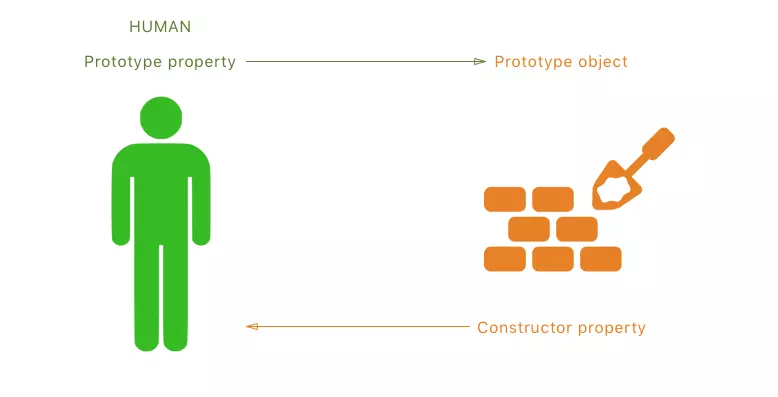 javascript-prototype-constructor