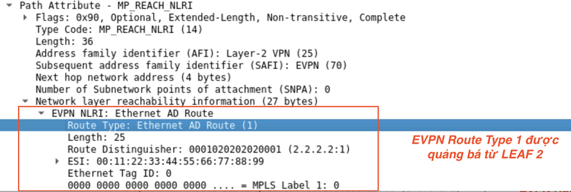 Pasted Graphic 161.png