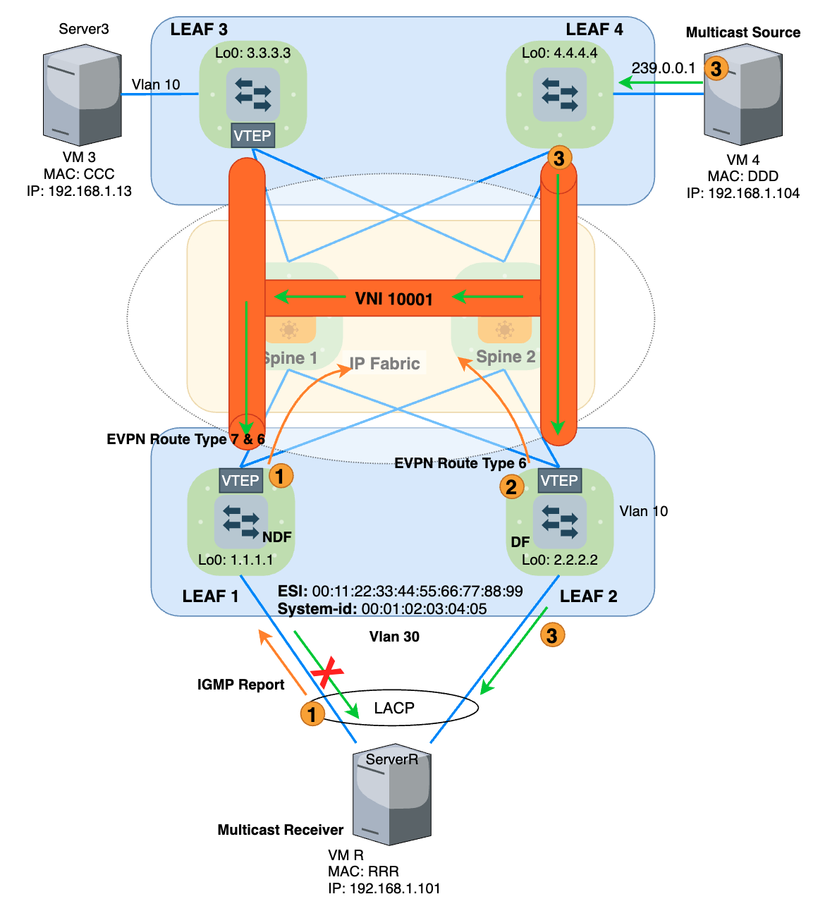 Pasted Graphic 233.png