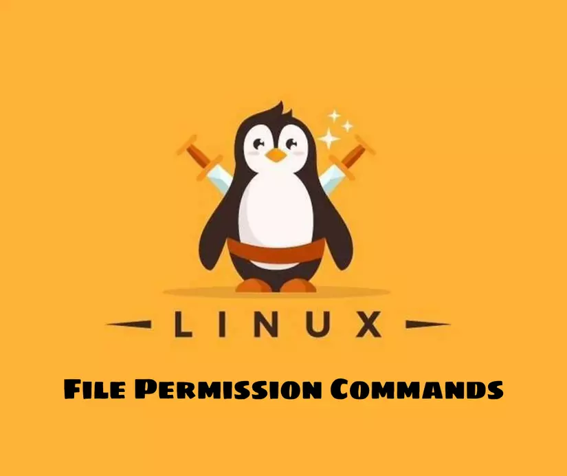 File Permission Commands.png