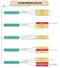 The Road Map - Software Testing