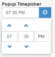 popup-timepicker.PNG
