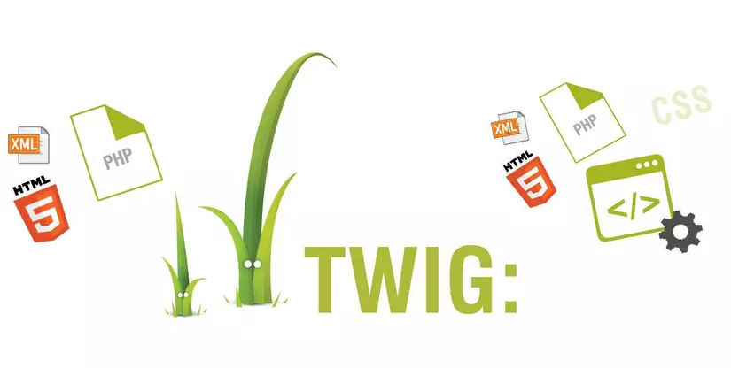 Tìm hiểu twig là gì và các ứng dụng