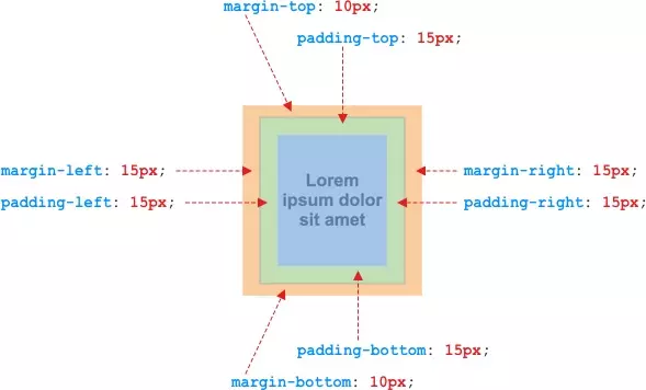 Minh họa margin và padding