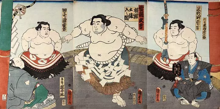 sumo-nhat-ban-47.jpg