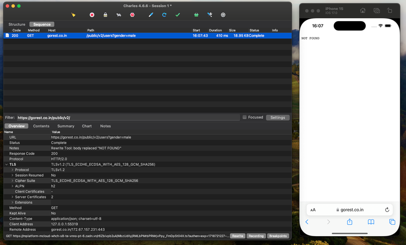 Screenshot 2024-06-17 at 16.07.49.png
