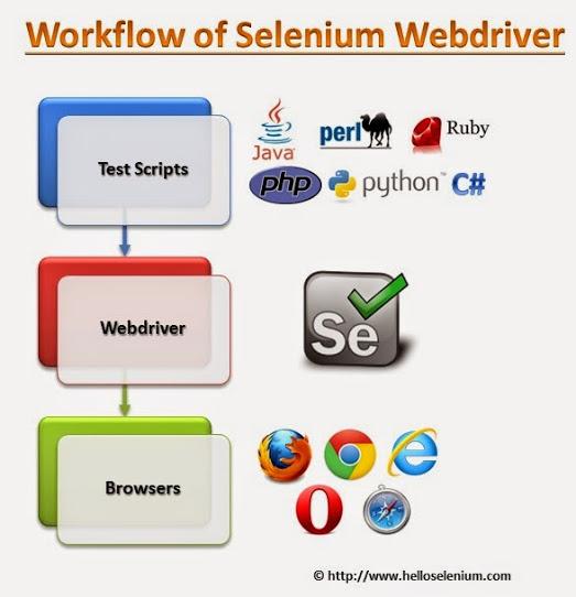 selenium-webdriver-workflow.jpg