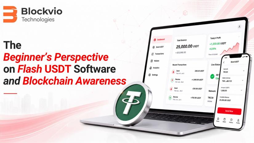 The Beginner's Perspective on Flash USDT Software and Blockchain Awareness