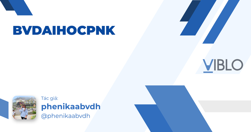 bvdaihocpnk