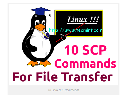10 SCP Commands to Transfer Files/Folders in Linux