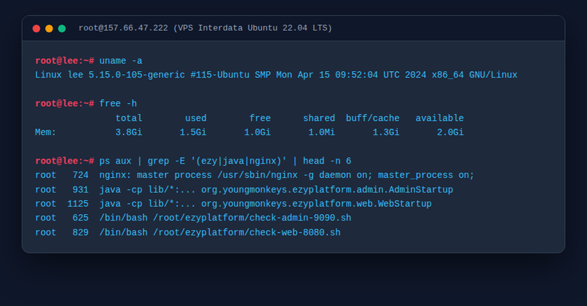 Terminal VPS Ubuntu kiểm tra tiến trình EzyPlatform