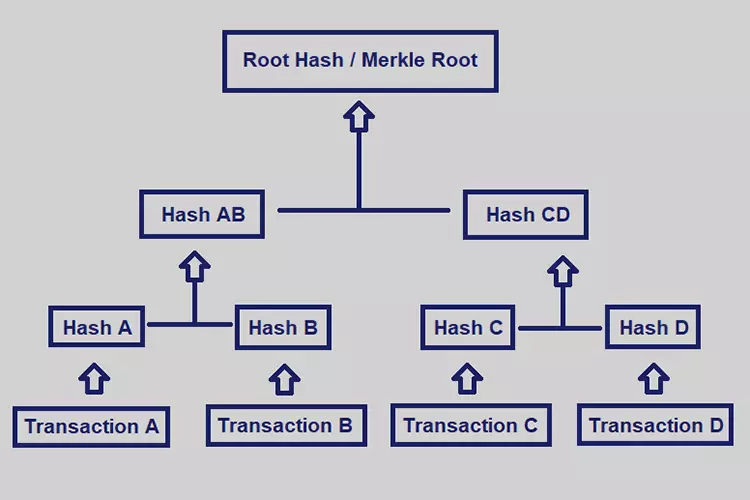 Cấu trúc dữ liệu Merkle Tree