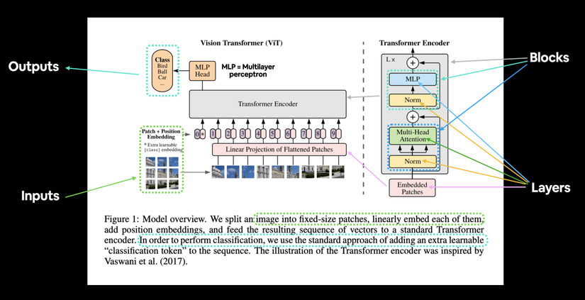 From Vision Transformer Paper to code