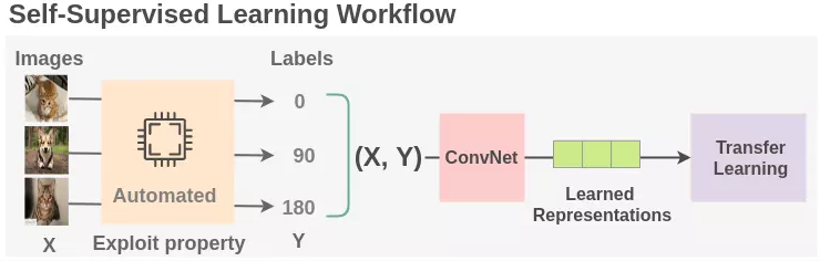 Tổng quan về Self-supervised representation learning (học tự giám sát)