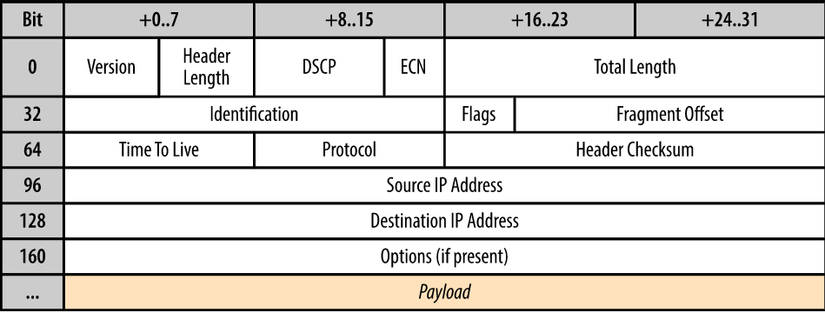 Một IP packet
