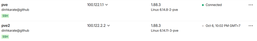 Cấu hình Tailscale - pve2: 100