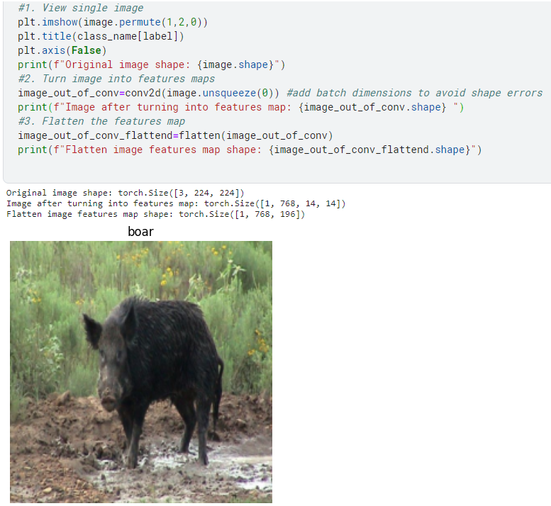From Vision Transformer Paper to code