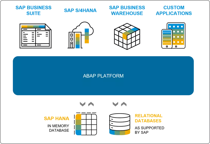 Có những kỹ năng cần có để trở thành một SAP developer?
