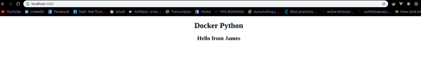 Python docker