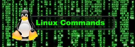 Linux-command-terminal1.jpg