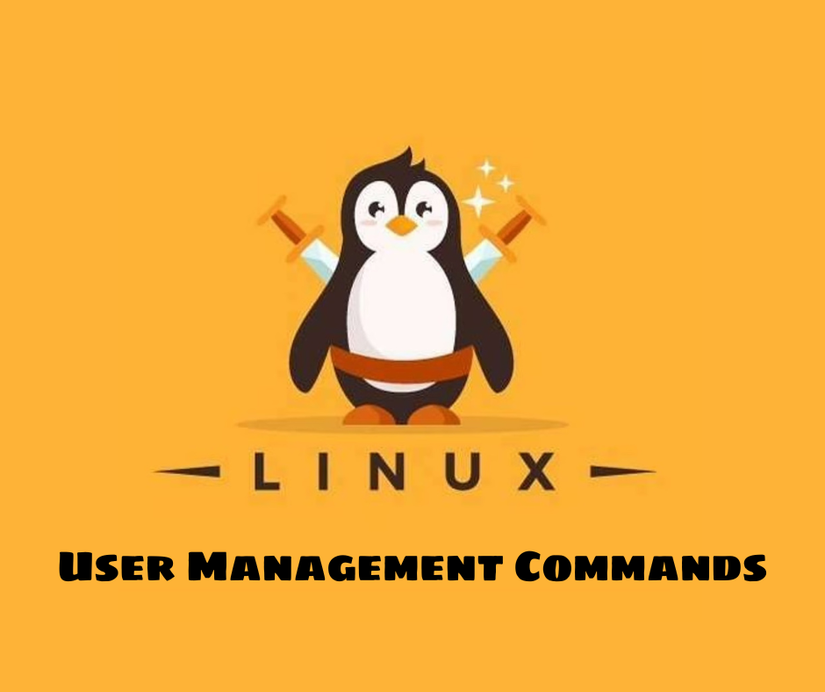 User Management Commands.png