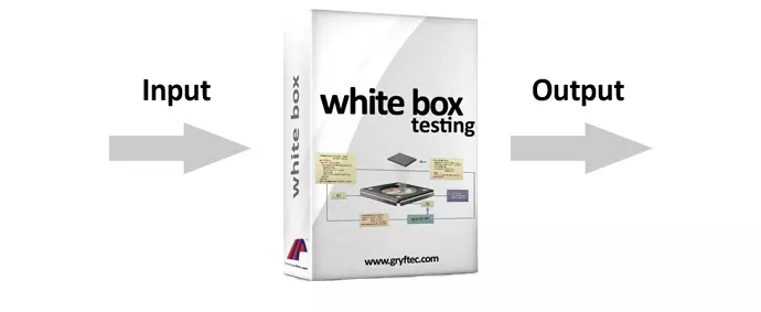white_box_testing.jpg
