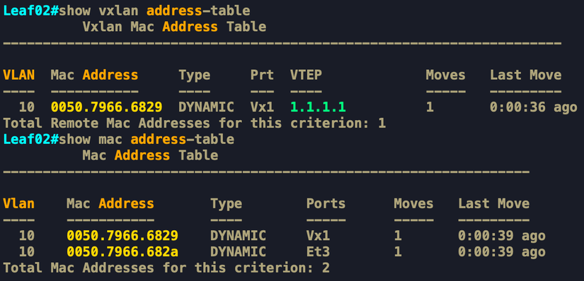 Leaf02#show vxlan address-table.png