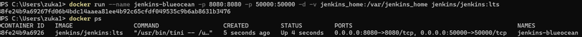 docker run