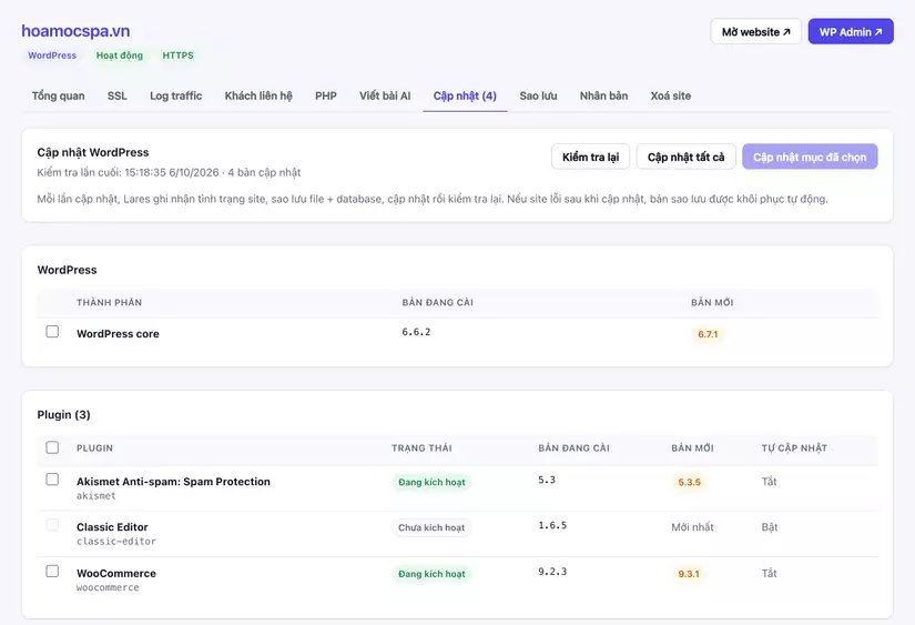 2-cap-nhat-wordpress.png