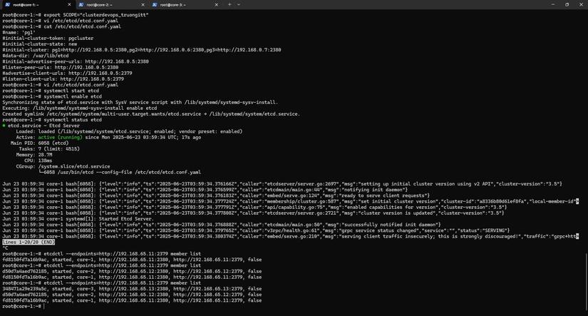setup etcd