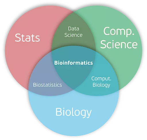 Samuel, Johnson. (2020). Re: What are the differences between Bioinformatics and Computational Biology ? . Retrieved from: https://www.researchgate.net/post/What_are_the_differences_between_Bioinformatics_and_Computational_Biology/5f51aad578613d7eea78eadc/citation/download. 