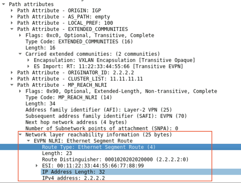 • Path attributes.png