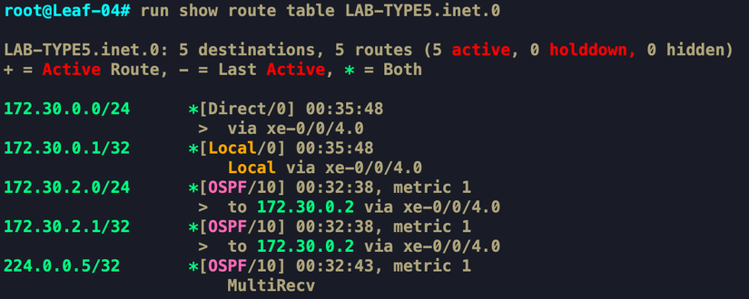 root@Leaf-04# run show route table LAB-TYPES.inet.0.png