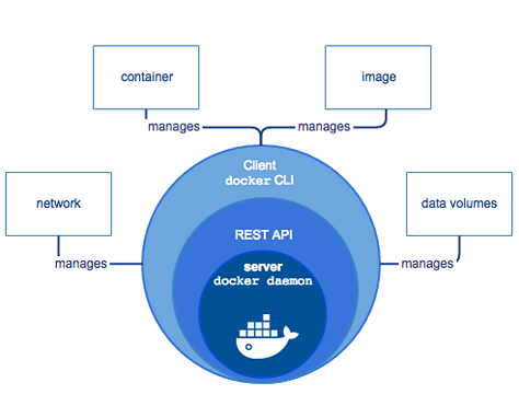 Docker Tutorial – Docker Architecture: Why Is It Important? (5/11)