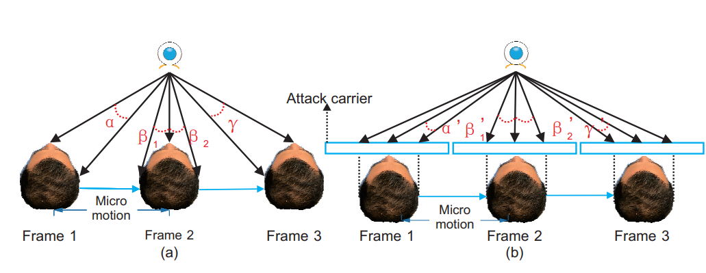 [Face Anti-Spoofing] Deep Spatial Gradient And Temporal Depth Learning