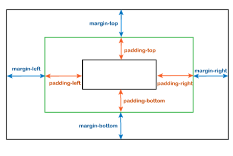 Sự khác nhau giữa Margin và Padding trong Css