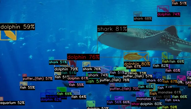 Zero-shot Object Detection với Detic - Viblo