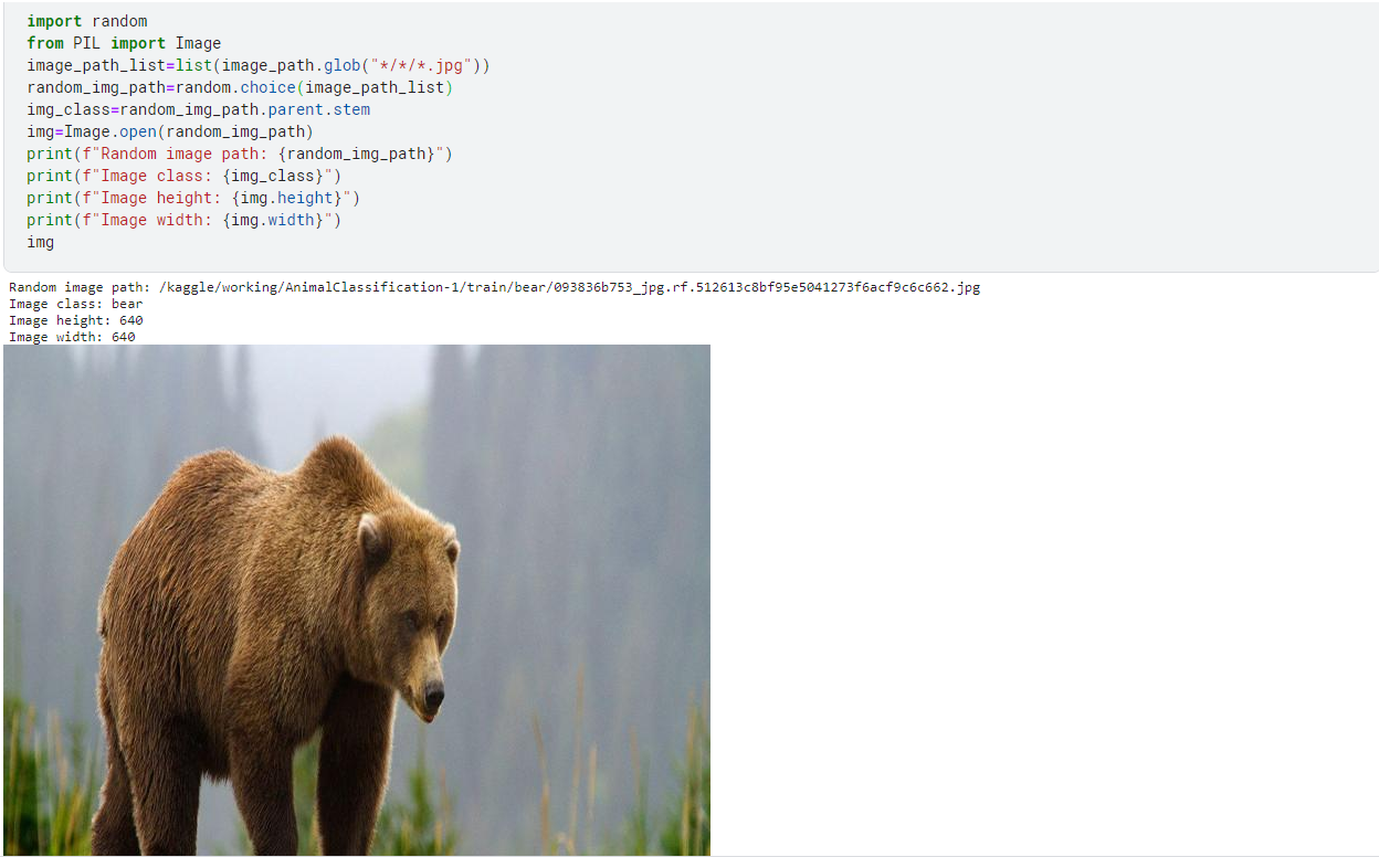 From Vision Transformer Paper to code