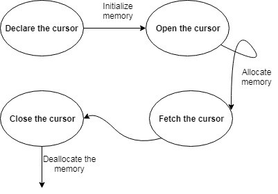 Giới thiệu về PROCEDURE và CURSOR trong SQL