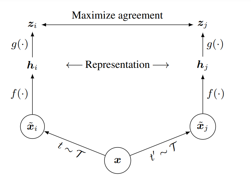 [Paper Explain] A Simple Framework For Contrastive Learning Of Visual ...