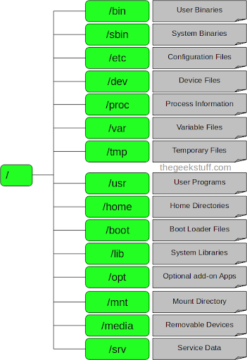 Cấu trúc thư mục Linux