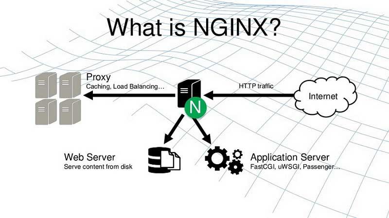 nginx-la-gi-01.jpg