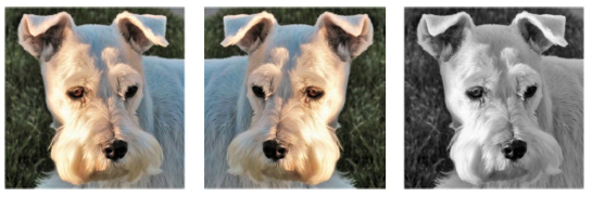 Phương thức data aumentation cơ bản