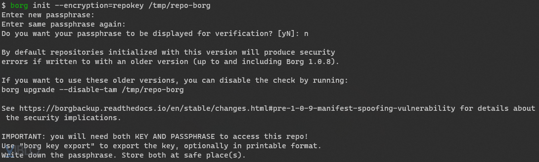 borgbackup repository initialize