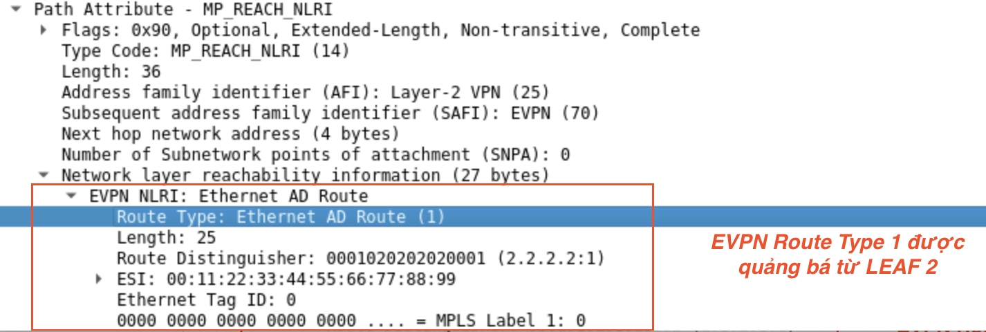 Pasted Graphic 161.png