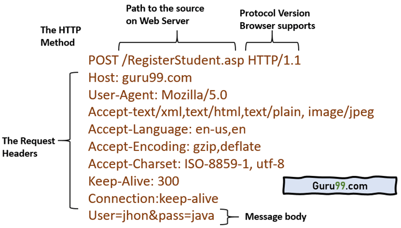 HTTP Request Và HTTP Response (series HTTP & HTTPS)