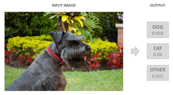 Mô tả phân loại hình ảnh (classification)